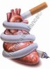 Accidents des traitements anticoagulants oraux
